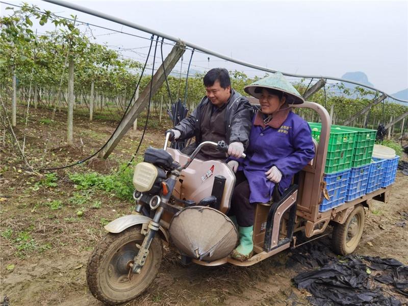 临时用工养老保险，保障与挑战并存的社会议题 临时用工养老保险