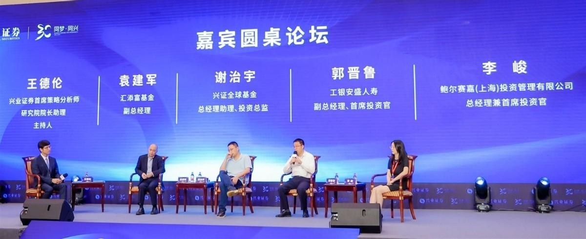 安盛保险基金，全球金融市场的稳定之锚 安盛保险基金