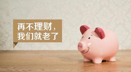 理财产品NS，市场动态与投资策略分析 理财产品ns