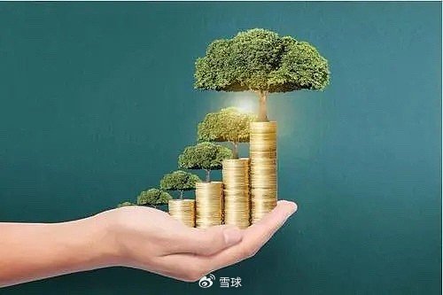 熊猫理财语录，财富之路的智慧与启示 熊猫理财语录