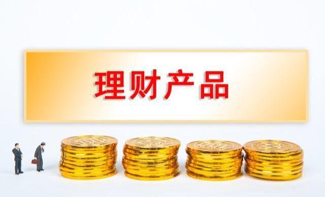 番禺理财公司，金融领域的稳健之选 番禺理财公司