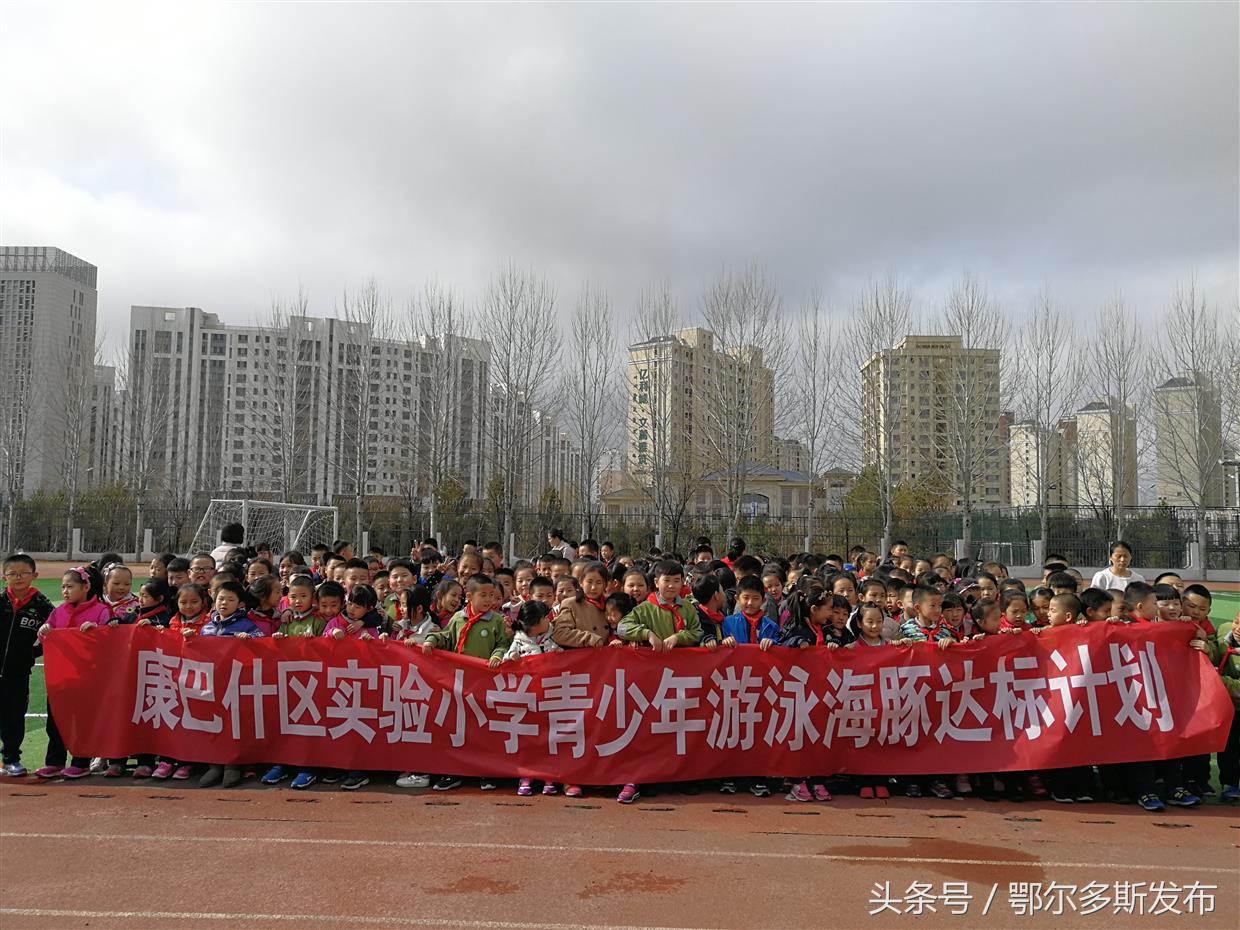 体育活动计划的重要性与实施策略 体育活动计划计划