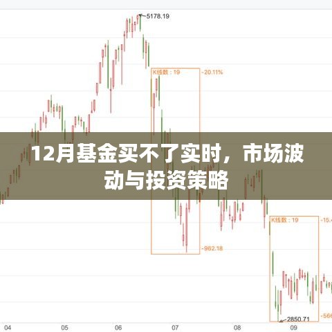 基金涨了还会跌吗？市场波动与投资策略解析 基金涨了还会跌吗