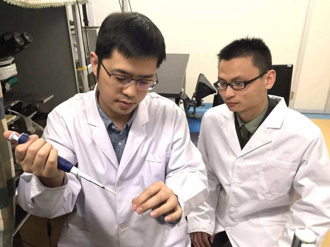 科研基金种类的探索与解析 科研基金种类