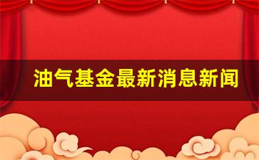 原油基金暂停申购，市场动态与投资策略分析 原油基金又停止申购了吗