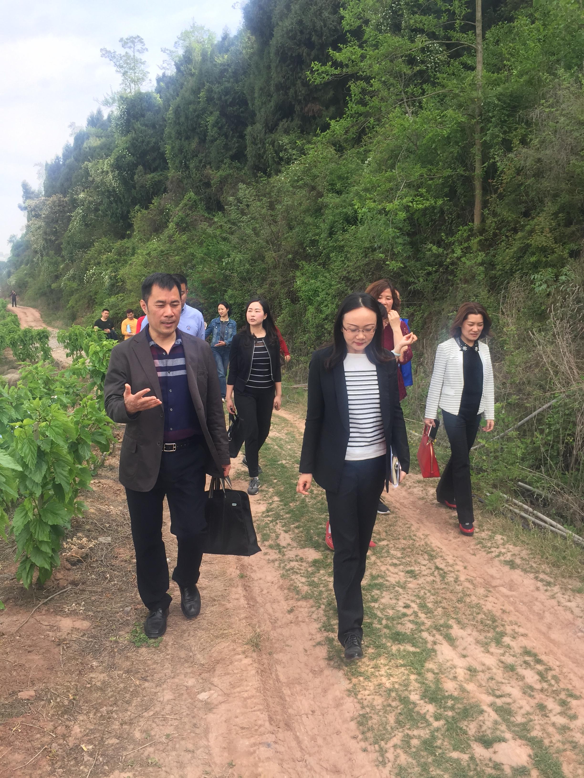 人寿理财审核，现代金融体系下的重要环节 人寿理财审核