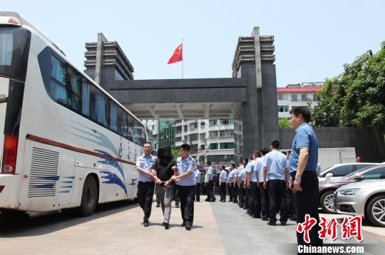 付费理财报告，全球金融趋势与投资策略分析 付费理财报告