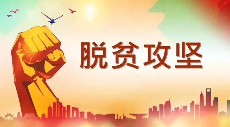 京县理财专家张启伟的卓越实践与深远影响 京县理财张启伟评价