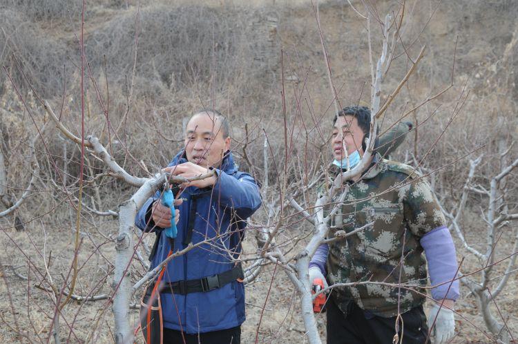 淄博近期理财产品概览与市场分析 淄博近期理财产品